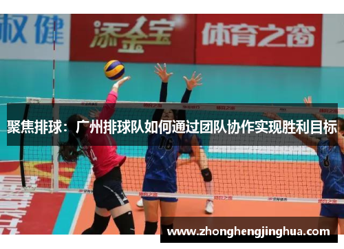 聚焦排球：广州排球队如何通过团队协作实现胜利目标