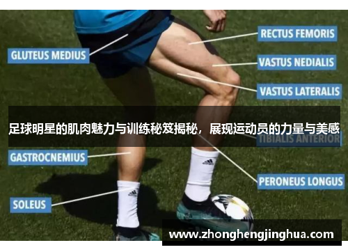足球明星的肌肉魅力与训练秘笈揭秘，展现运动员的力量与美感