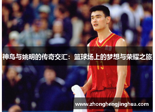 神鸟与姚明的传奇交汇：篮球场上的梦想与荣耀之旅