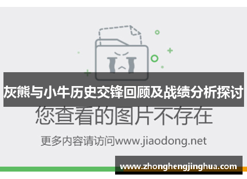 灰熊与小牛历史交锋回顾及战绩分析探讨